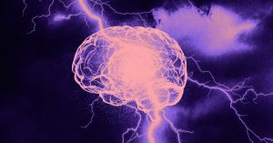 Brain-Wide Activity Pattern May Reveal Consciousness, Study Finds